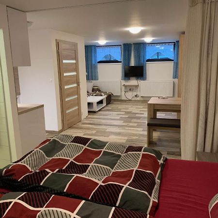 Apartman 206 Spicak Zelezna Ruda Exterior photo